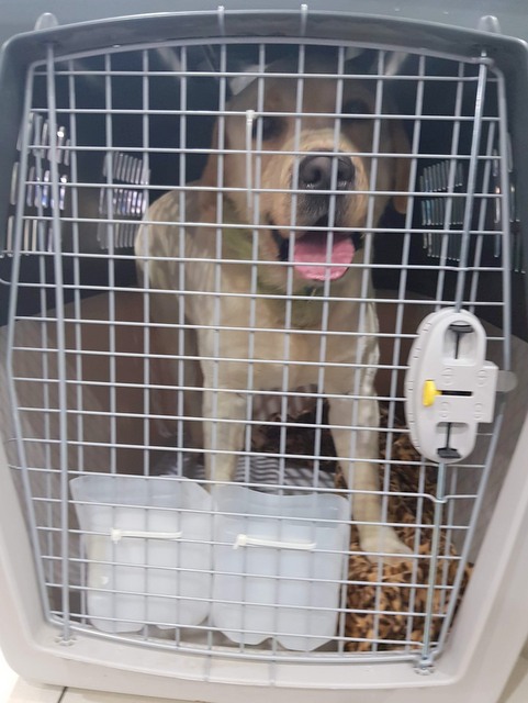 1 cid 16aa48d7463aa1ebf2a4