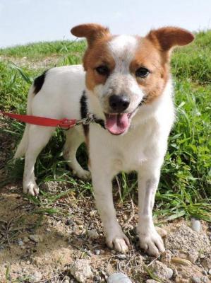 thumb Ike Photo 8 Jan 2019