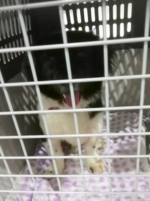 1 IMG 20190514 030134