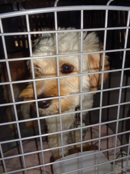 1 cid 09677DAF FD5F 4B05 BF02 19FA6A23160A