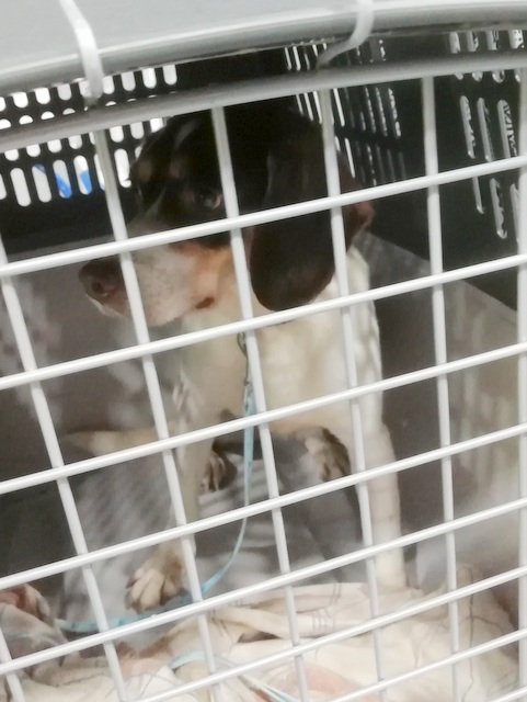 1 IMG 20190615 030229