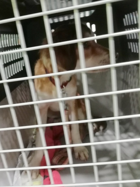 1 IMG 20190615 030242