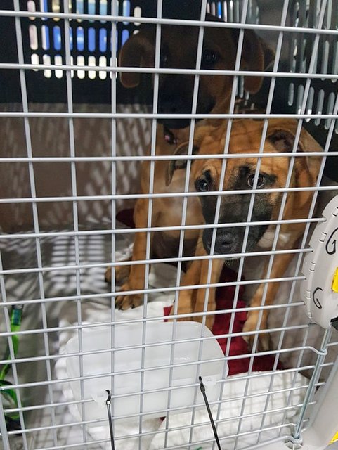 1 57111752 1977268995728580 8972847517897064448 n