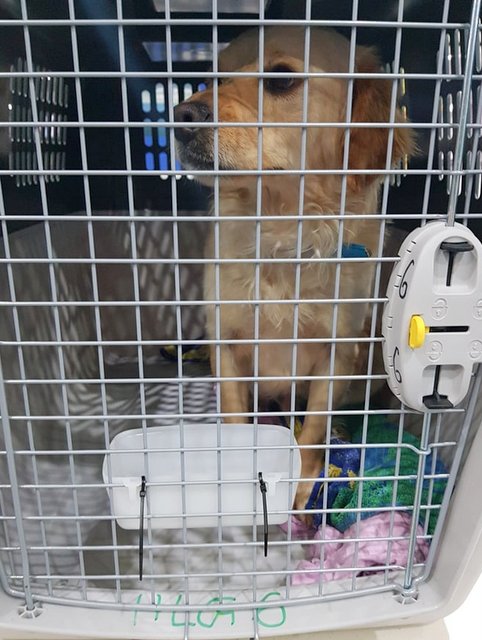 1 57247097 641076139956775 9175389250634383360 n