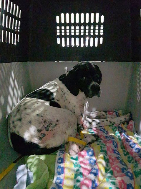 1 57592807 386775805506802 1597635522379907072 n