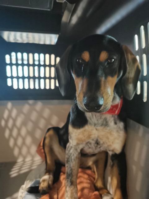 1 cid 16f1f64304557bd7c272