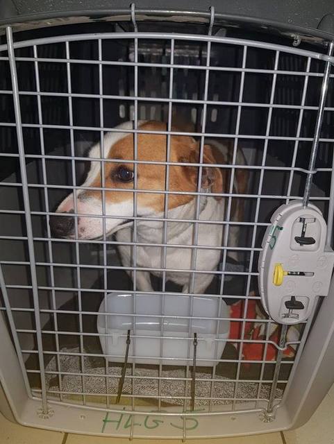 1 54434629 353539775254971 559730162468388864 n