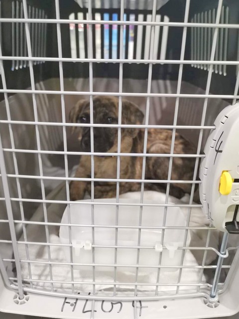 1 cid 16c0d678576869f1b221