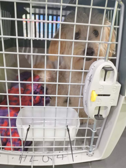 1 cid 16c0d679bdc225907212