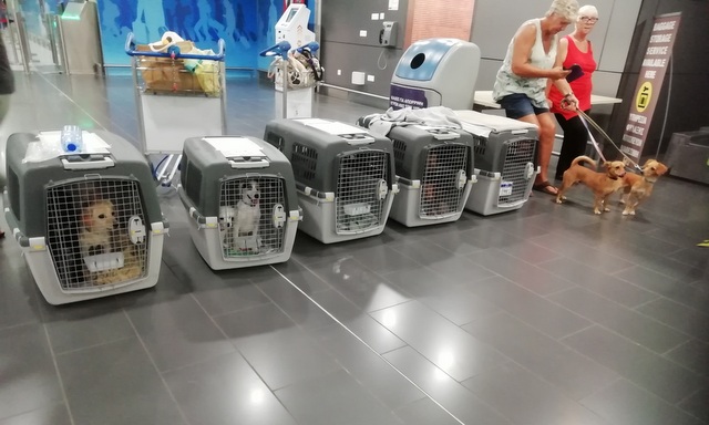 1 IMG 20190820 030744