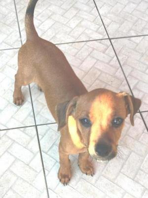 thumb Bertie Photo 7 July 2019