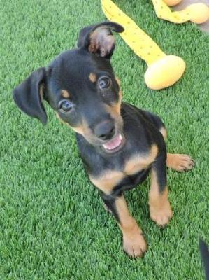 thumb Darcie Photo 5 June 2019