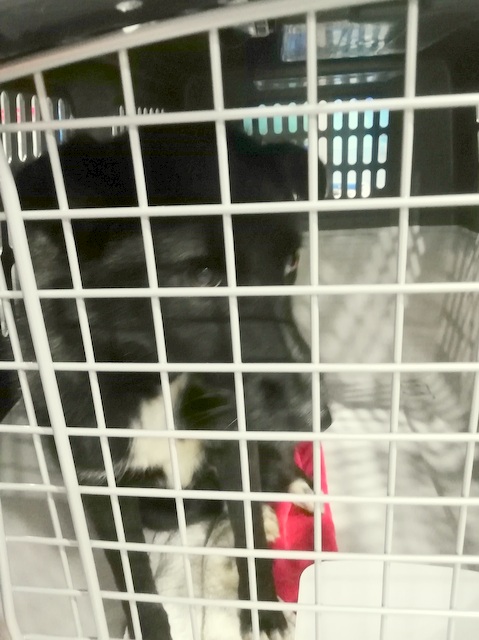 1 IMG 20190521 025722