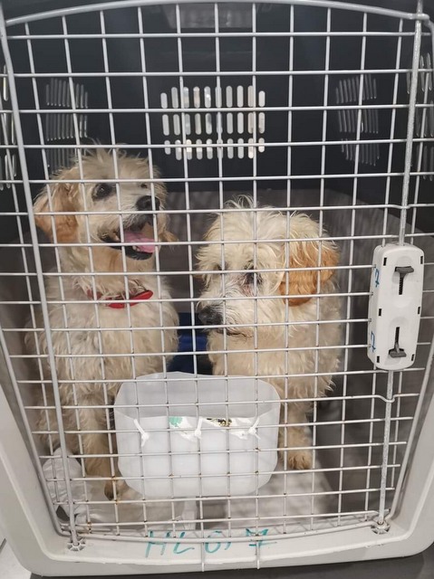 1 cid 16b7d0505695cab5a252