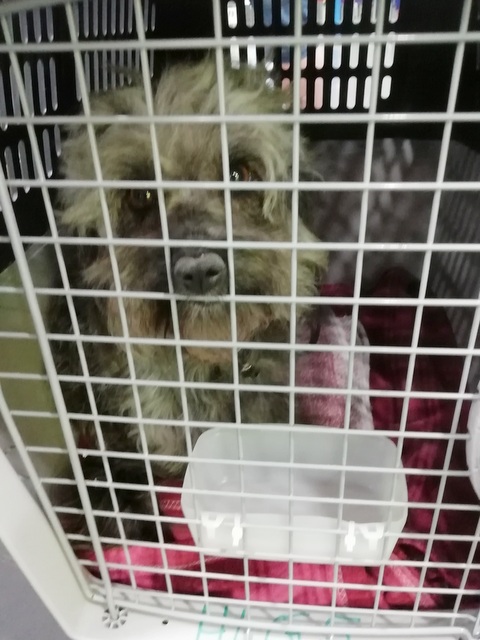 1 IMG 20190624 030639