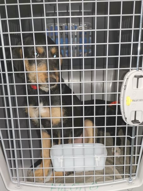 1 61307280 256992445144985 1481004637485006848 n