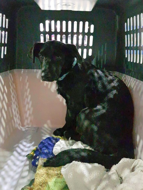 1 cid 16a5d01bf48e18cbf1e2