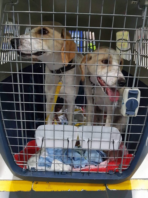 1 cid 16a5d01dd661900971c4