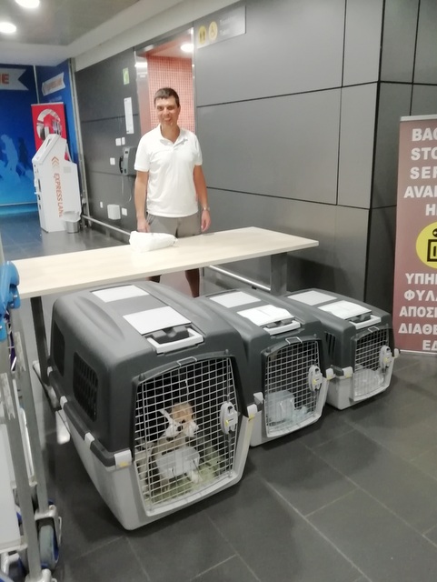 1 IMG 20190727 030716