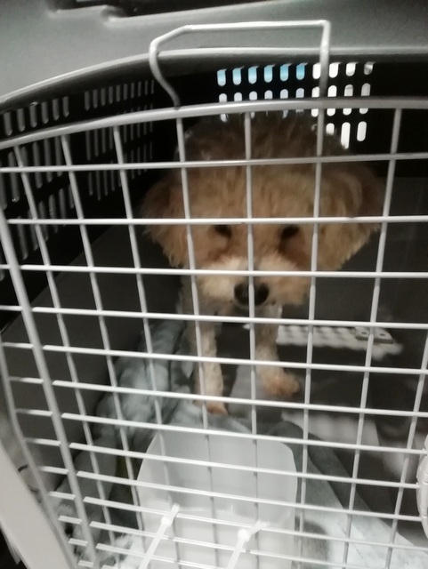 1 IMG 20190727 030738