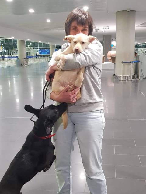 1 received 870674956618311