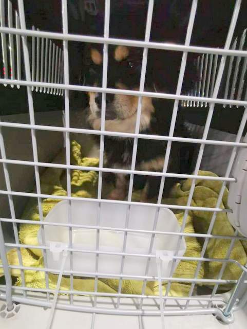 1 PHOTO 2019 12 29 18 23 55