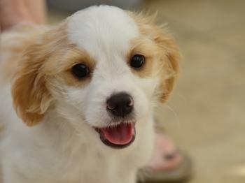 thumb 1 cid BDE9921D A33E 4A24 B972 5ACC0F740546