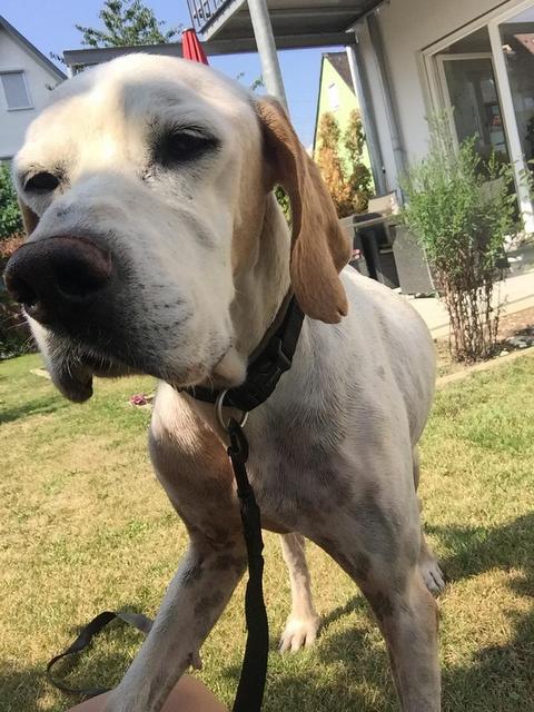 1 PHOTO 2019 08 04 11 21 28