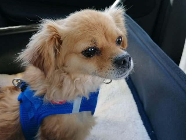 1 PHOTO 2020 08 26 21 28 48