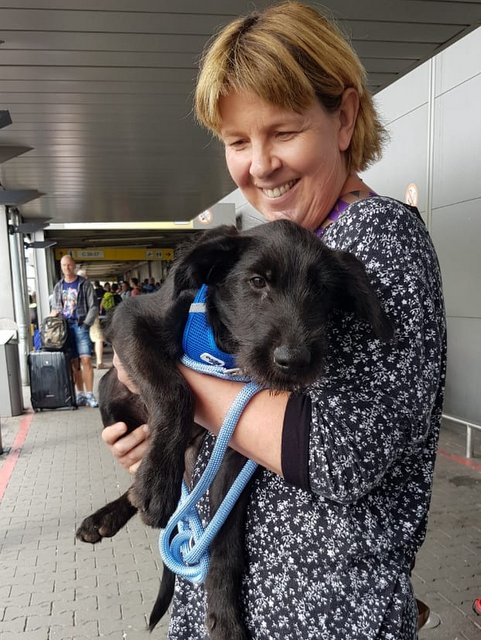 1 PHOTO 2020 07 31 21 15 32