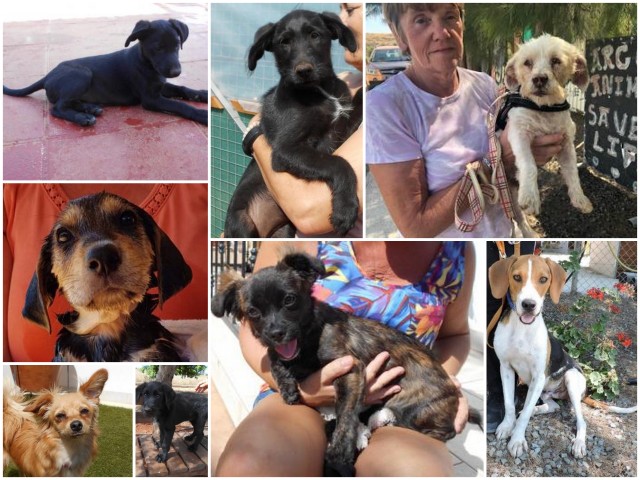 1 collage berlin 26 07