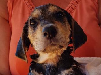 thumb PHOTO 2020 06 16 15 24 002