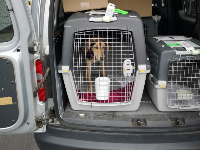 1 PHOTO 2020 08 25 14 42 14