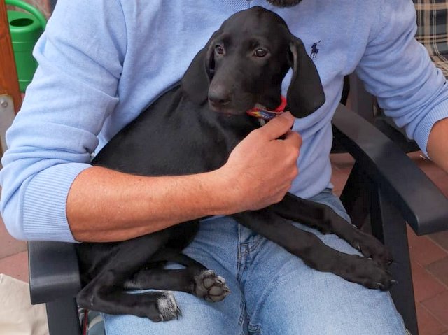 1 PHOTO 2020 08 26 09 12 40