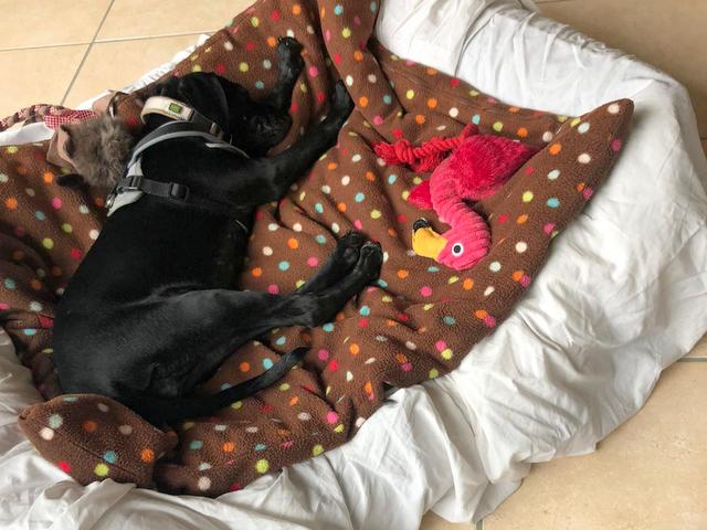 1 PHOTO 2020 08 26 09 42 54