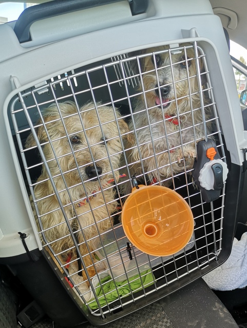 1 IMG 20200704 154341