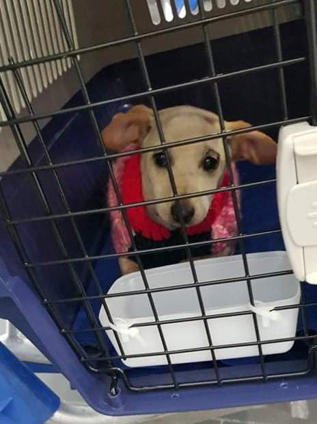 1 received 916655075462279