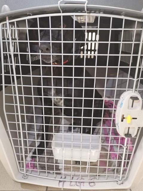 1 cid 17093d34711c7a4102d2