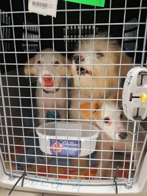 1 120549926 354638789066816 173312760290693716 n