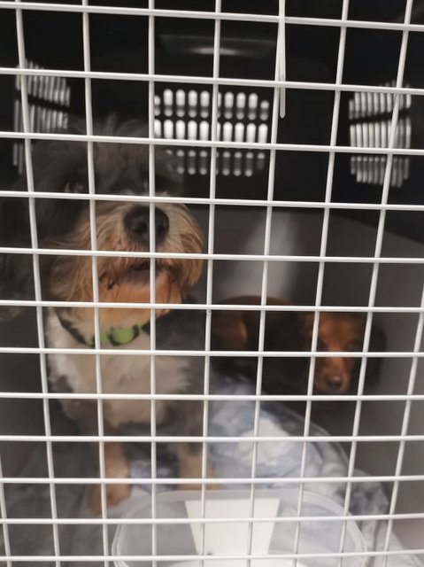 1 120555010 336593697448911 6491936807697998351 n