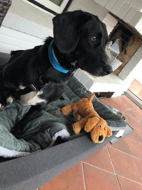 1 PHOTO 2020 10 03 08 47 28