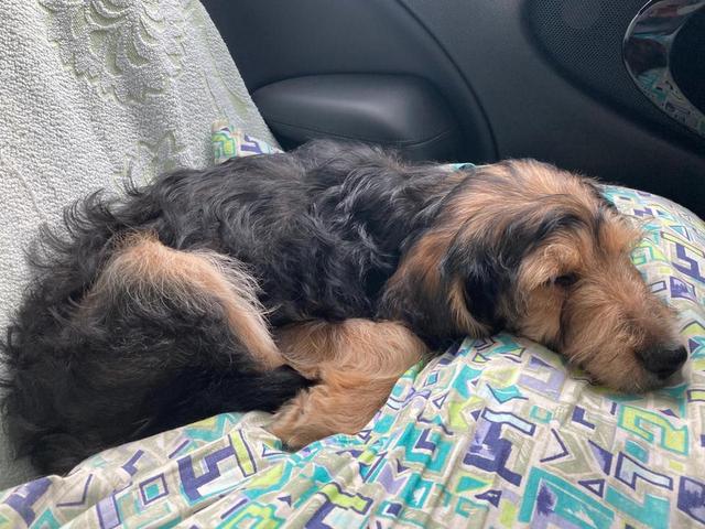 1 PHOTO7 2020 10 03 08 53 45