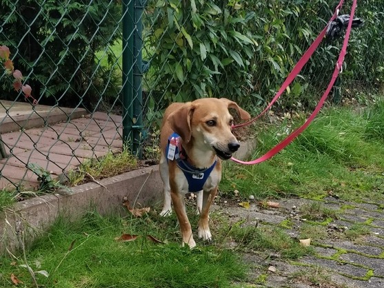 1 tomas1PHOTO 2020 10 03 08 52 34