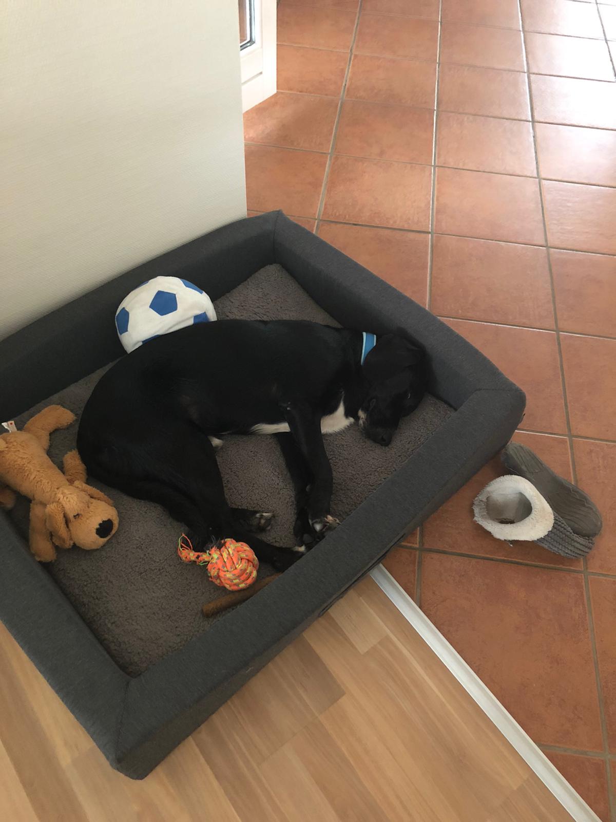 PHOTO1 2020 10 04 08 10 21