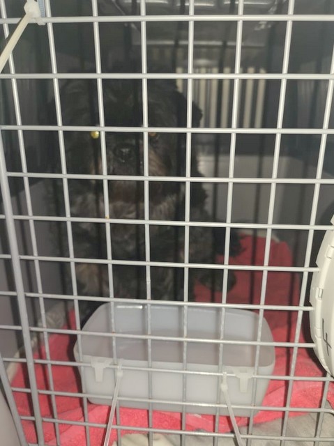 1 cid 170a38e29583572012d2