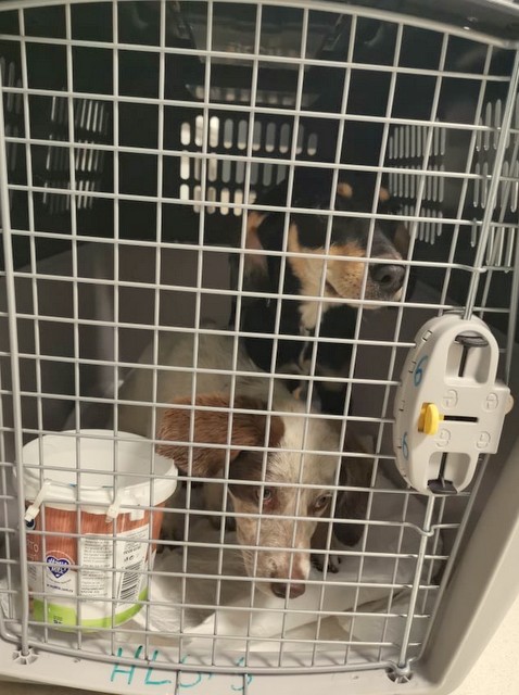 1 cid 170a38e4057d12bed2c3