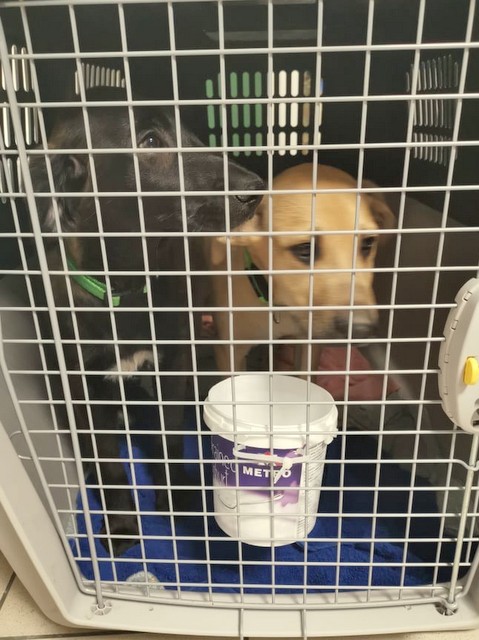 1 cid 170a38e59476ce5d92b4