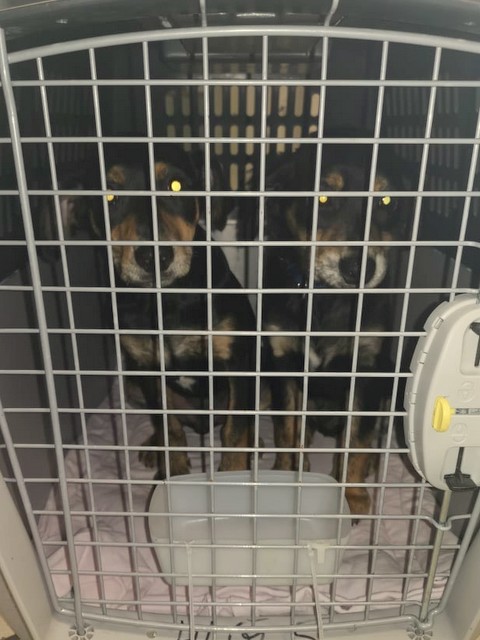 1 cid 170a38e797289fc52a5