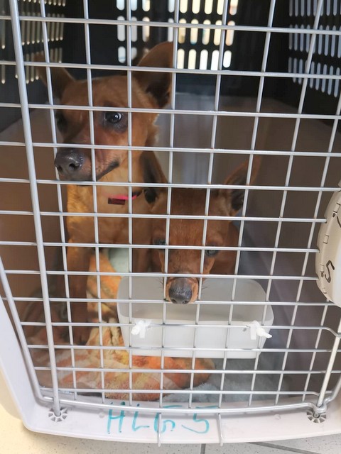 1 cid 17019736fbbdff0ac291