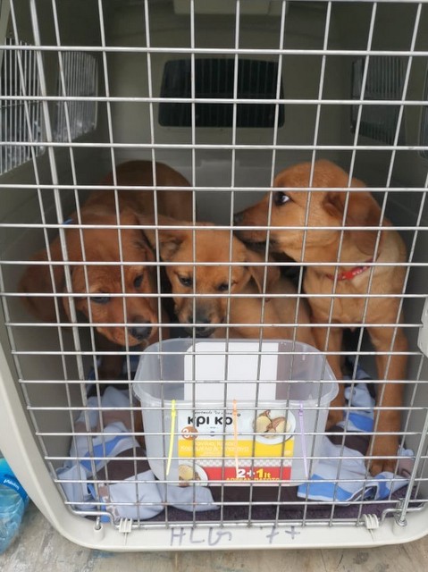 1 cid 1701973804f7baa98282